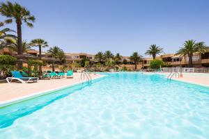 una grande piscina con sedie blu e palme di Home2Book Charming Sun & Dunes Apartment a Corralejo