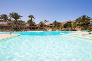 Fotografia z galérie ubytovania Home2Book Bright Apartment with Pool & Terrace v destinácii Corralejo