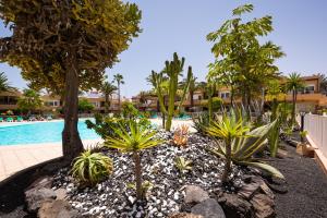 Fotografia z galérie ubytovania Home2Book Bright Apartment with Pool & Terrace v destinácii Corralejo