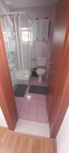 een kleine badkamer met een toilet en een douche bij Apartment Bougainvillea in Trogir