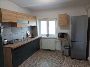a kitchen with a stainless steel refrigerator and a window at Apartmán Veselé in Děčín