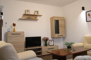 TV a/nebo společenská místnost v ubytování Apartman Villarossa