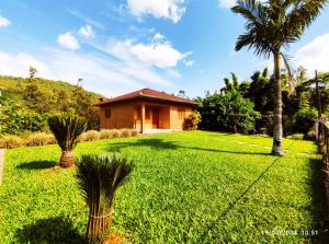 a yard with palm trees and a house at Casa de campo com acesso ao Rio in Encantado