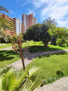 a park with palm trees and buildings in the background at Apartamento Costa de Poniente in Benidorm