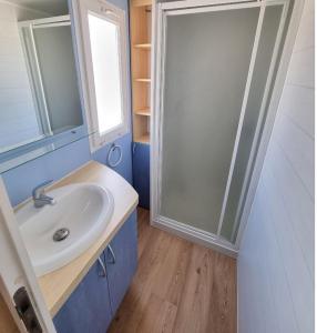 a bathroom with a sink and a glass shower at DOMAINE DE LA GRANGE DES CHAMPS in Lorris