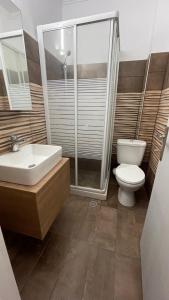 a bathroom with a toilet and a sink and a shower at Ionian Boutique Apartments in Agios Georgios