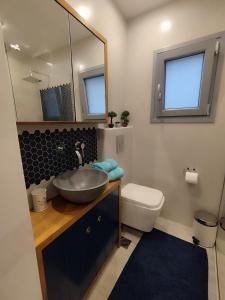 スキロスにあるSeaside Serenityのバスルーム(洗面台、トイレ、鏡付)