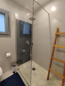 La salle de bains est pourvue d'une douche avec une porte en verre. dans l'établissement Seaside Serenity, à Skiros