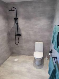 uma casa de banho com um WC e um chuveiro com toalhas azuis em Gästhus på Österlen med närhet till strand & golf em Ystad