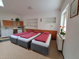 Fotografia z galérie ubytovania Pension Dana Karaskova v destinácii Kutná Hora