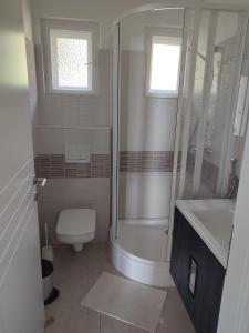 uma casa de banho com um chuveiro, um WC e um lavatório. em Dorka Villa em Tihany