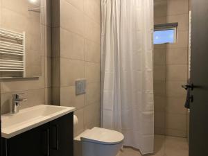 a bathroom with a sink and a toilet and a shower at Randalín in Åkirkeby +20 photos