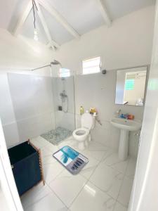 La salle de bains est pourvue d'une douche, de toilettes et d'un lavabo. dans l'établissement Bungalow d'une chambre a Schoelcher a 500 m de la plage avec jardin clos, à Schœlcher
