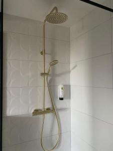 a shower with a brass shower head in a bathroom at Logis Hotel Restaurant A L'Etoile in Mittelhausen