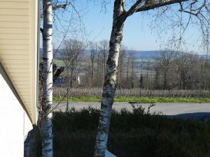 Příroda nedaleko bed and breakfast