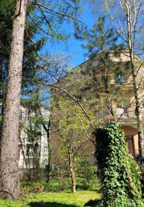 Zahrada ubytování Cichy apartament w centrum Nowy Sącz + 21 fotografií