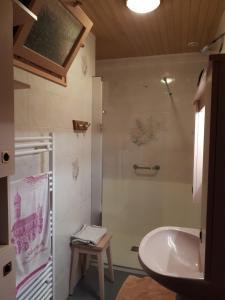 uma casa de banho com um lavatório e um chuveiro em Appartement La Roche sur Foron em La Roche-sur-Foron