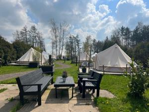 un grupo de mesas de picnic y tiendas de campaña en un campo en Glamplodge met privé sanitair, en Blesdijke