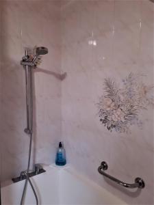 e bagno con doccia e vasca bianca. di Appartement La Roche sur Foron a La Roche-sur-Foron