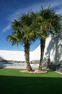 two palm trees in a grassy area with a building at Alojamientos Callejón del Pozo, cerca Puy du Fou in Gálvez
