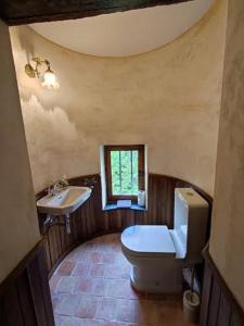 ein Bad mit einem WC und einem Waschbecken in der Unterkunft Suite dans un château dans le Haut Anjou in Pouancé