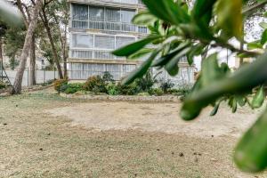 Vonkajšia záhrada v ubytovaní Apt Pedrera 2 dormitorios