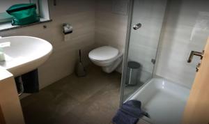 a bathroom with a toilet and a sink and a shower at Ferienwohnungen Weishaupt, Pfingstweider Str. 30 in Meckenbeuren
