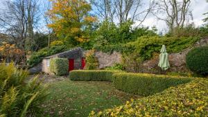 a garden with hedges and a red door at Wharf in Cromford