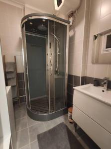 uma casa de banho com um chuveiro e um lavatório. em Studio Le pigeonnier em Tallard