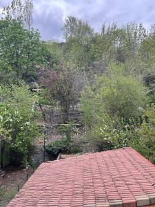 タラールにあるStudio Le pigeonnierの木の植わる庭園の赤瓦屋根