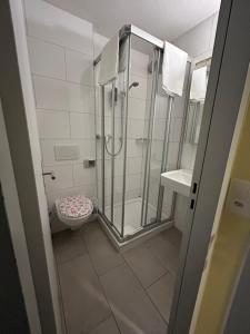 ein Bad mit einer Dusche und einem WC in der Unterkunft Gasthaus 210 in Zürich