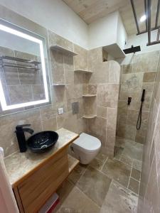 une salle de bain avec toilettes, lavabo et douche dans l'établissement Le Panorama D'Orcières, à Orcières