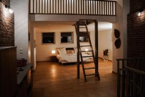 a bedroom with a bunk bed and a ladder at fee moi rêver in Lallaing