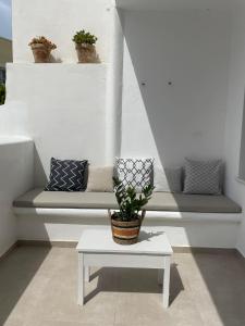 a white bench with a potted plant on it at Konstantza's Elegant Apartment in Naxos Chora