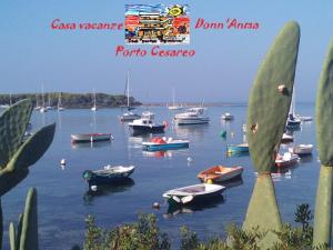 ポルト・チェザーレオにあるCasa Vacanze Donn'Annaのギャラリーの写真
