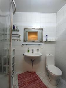 a bathroom with a sink and a toilet and a mirror at Cozy Dream Apartment in Vilnius
