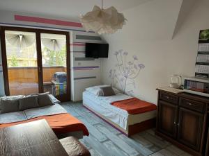 Televízia a/alebo spoločenská miestnosť v ubytovaní Apartament Kościelisko