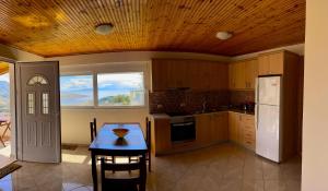 Η κουζίνα ή μικρή κουζίνα στο Lucas apartments
