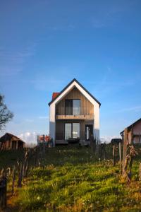 a house on top of a hill with a green field at Hiša ob stolpu in Lendava