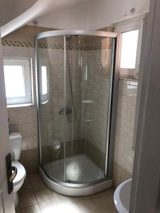 a bathroom with a shower and a toilet at Palm Tree Villa in Almirida