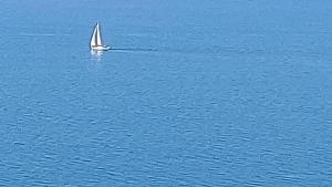 a sailboat in the middle of a large body of water at PURE WELLNESS SEA-VIEW Beluga & Dolphin Luxury HOTEL apartments in Batumi
