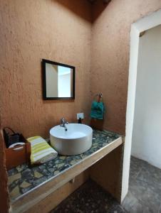 baño con lavabo y espejo en la encimera en Vista los Andes en Cacheuta
