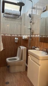 uma casa de banho com um WC, um lavatório e um espelho. em SaEl Apartments em Shkodër