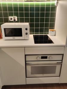 um forno de micro-ondas sobre um balcão de cozinha em Casa Moliceiro Verde em Aveiro