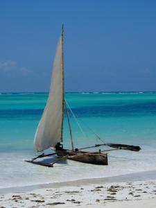 Φυσικό τοπίο κοντά σε αυτό το διαμέρισμα