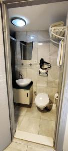 Ortaköy Suites Hotel في إسطنبول: حمام مع مرحاض ومغسلة