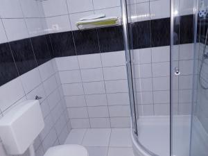 a bathroom with a shower and a toilet at Alexandar Holiday Apartments and Cottage in Rudanovac