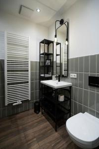 un bagno con un water, un lavandino e uno specchio di Apartment in Weinstadt-Schnait a Weinstadt Altre 16 foto