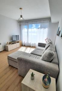 ein Wohnzimmer mit einem Sofa und einem Tisch in der Unterkunft Modern apartment with view in San Carlos de Bariloche