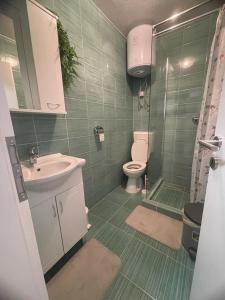 W łazience znajduje się toaleta, umywalka i prysznic. w obiekcie Apartments D w mieście Premantura